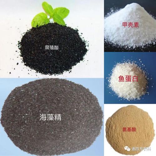 �_�֣���ֳ�������������ך������~���ס����������������ò�һ����������