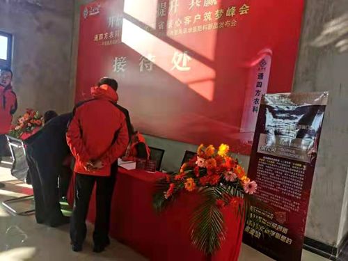 ����_������|����ʡ����